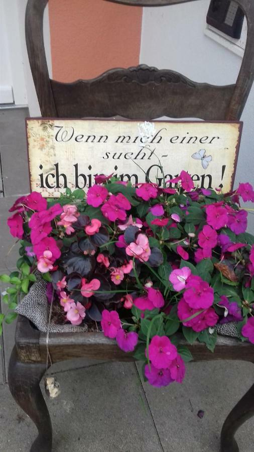 Fewo 1 Waren Mueritz - Haus Buchen Am Tiefwarensee - 1 Zi Екстериор снимка